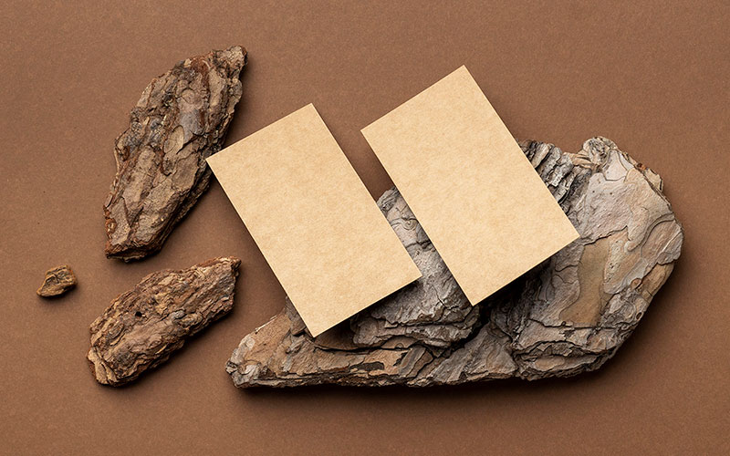 Ecofriendly Business Card